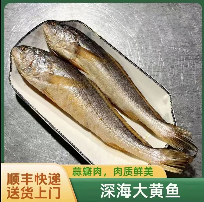 7条（鲜冻）野生黄鱼7两左右每条蒜瓣肉码头直发 生鲜海鲜