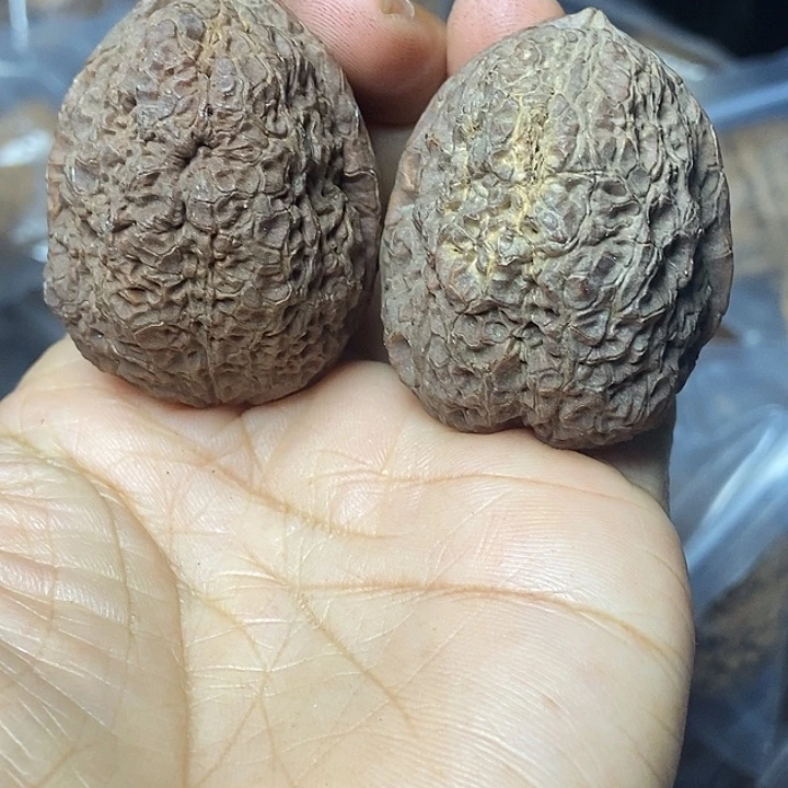 文玩核桃把件云南铁核桃基地87