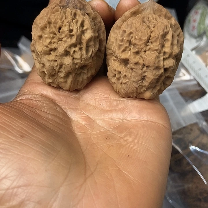 把件文玩核桃云南铁核桃基地47