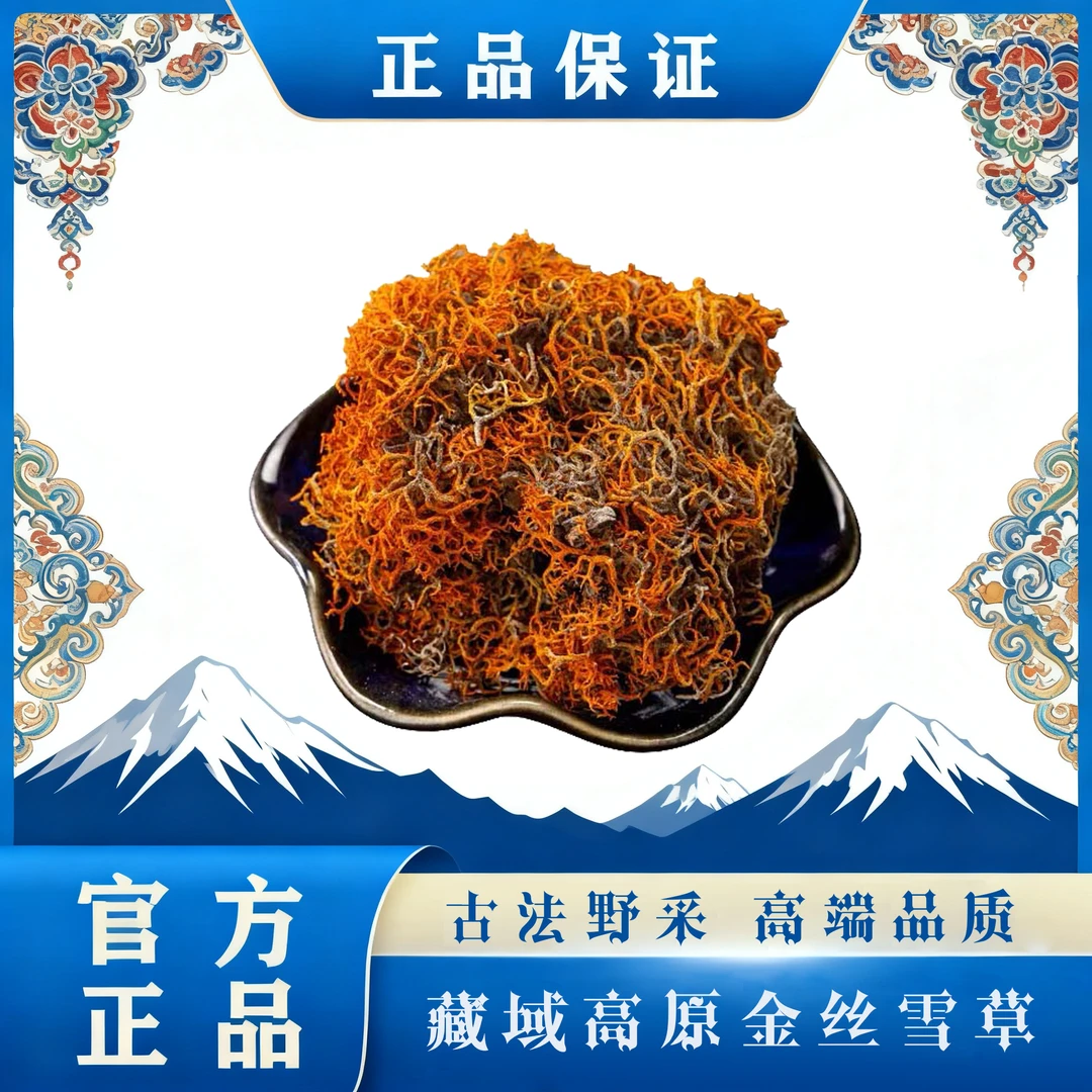 西藏高原金丝血草采摘干货