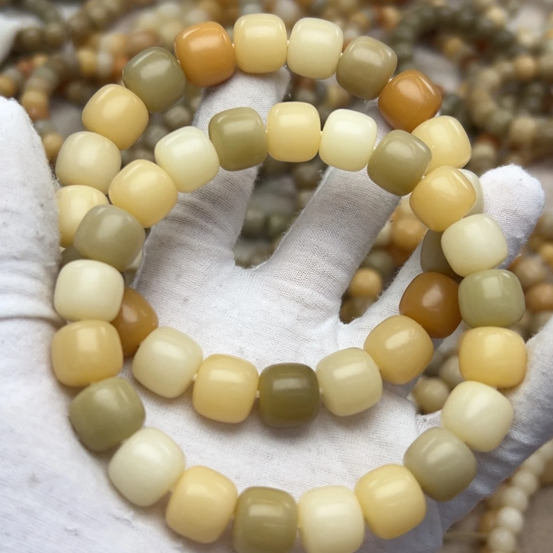 吊坠菩提根/象牙果干磨微瑕发一条771