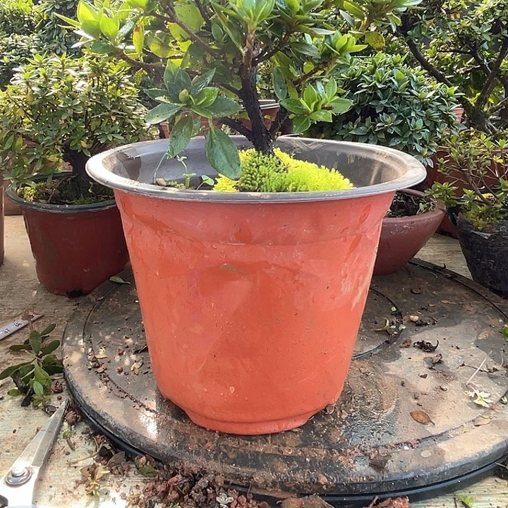 完全开放12355689