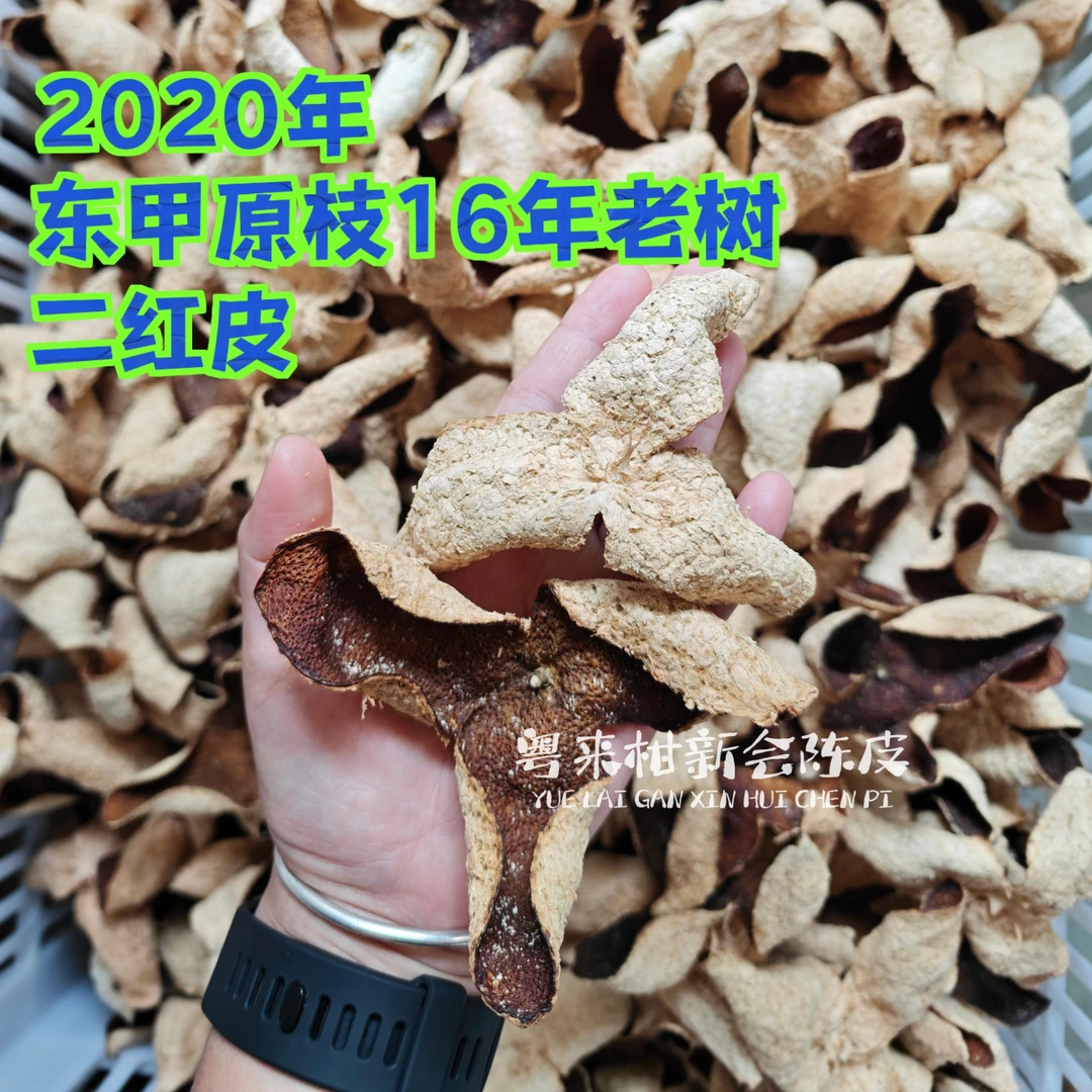 【老二红陈皮】2020年东甲原枝16年老树二红陈皮 薄荷凉 微甜yao香