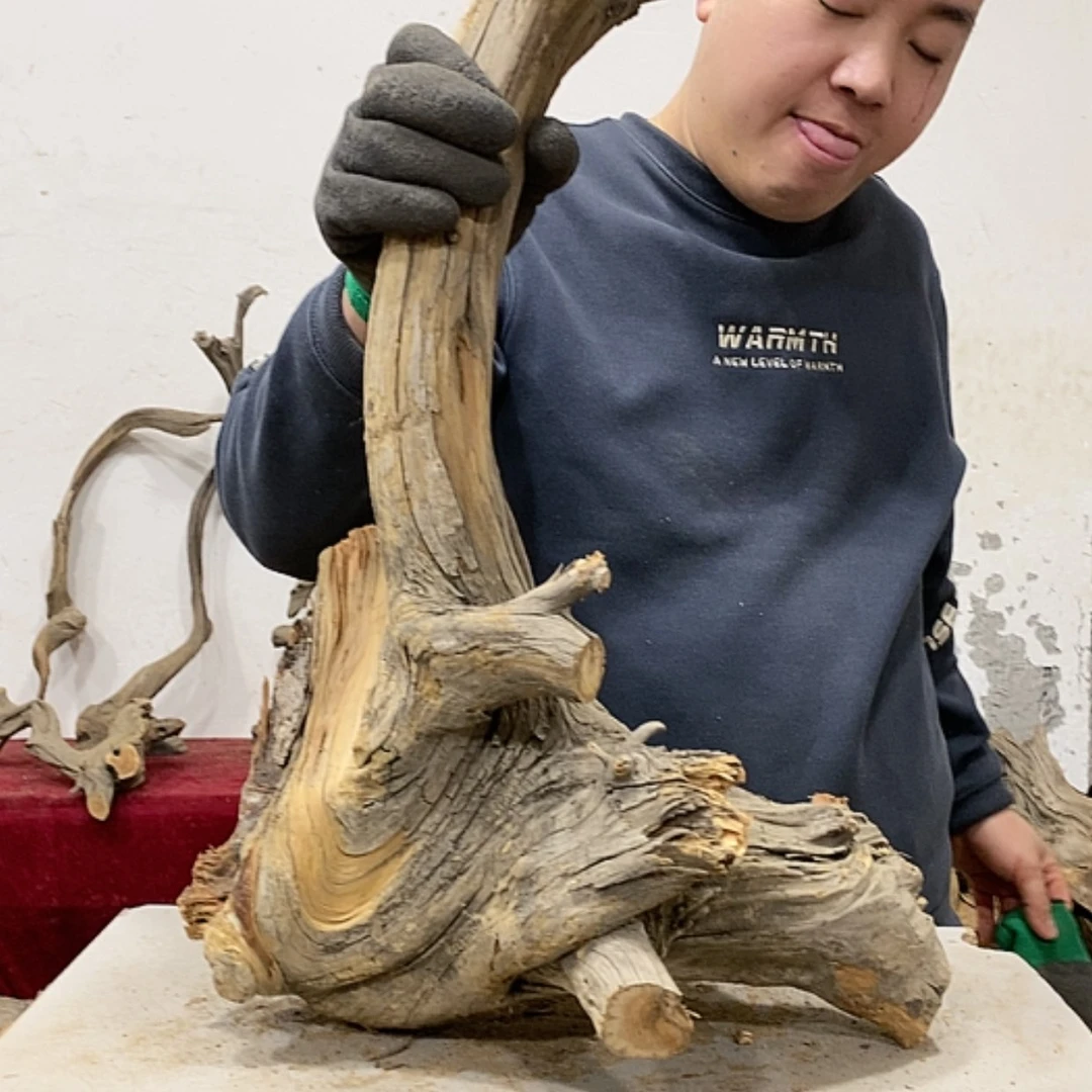 【闪购商品】柏木展****）我们都是好孩子