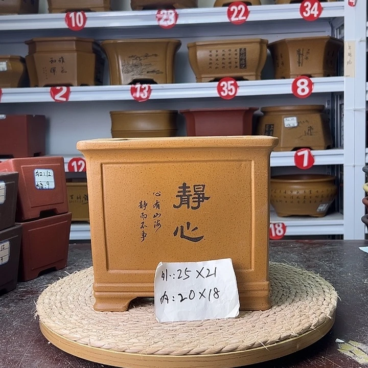 紫砂花盆蛇年大吉