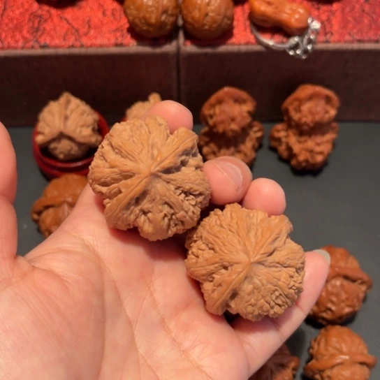 文玩核桃吊坠大粗筋