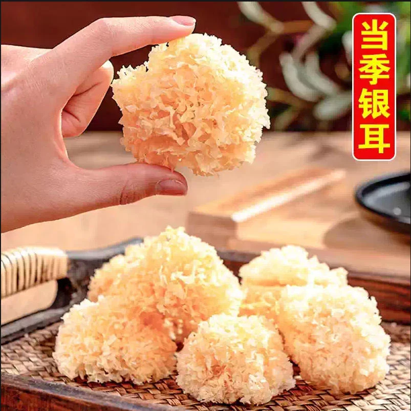 椴木小银耳云南特产干货白木耳雪耳糯耳羹新鲜无硫熏出胶银耳羹