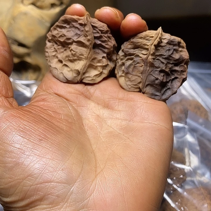 把件文玩核桃云南铁核桃基地28