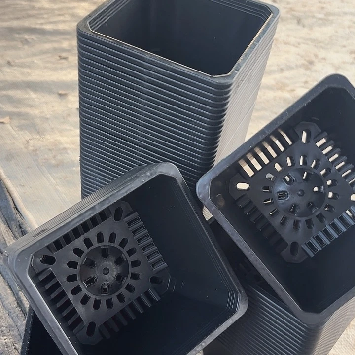 120黑方盆20个黑色