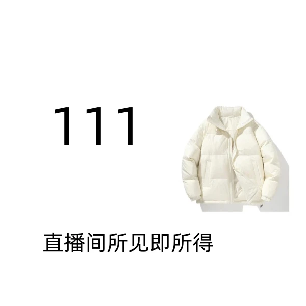 【111】潮奢新款白鸭绒免洗男女同款净色羽绒服111