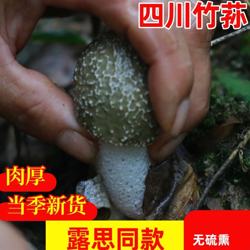 四川竹荪骨朵无硫熏无异味不漂泊50克嫩菇朵