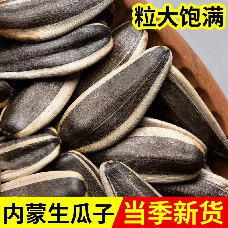 金旺佳【内蒙瓜子】2024新货葵花籽瓜子古法工艺营养美味严选颗粒