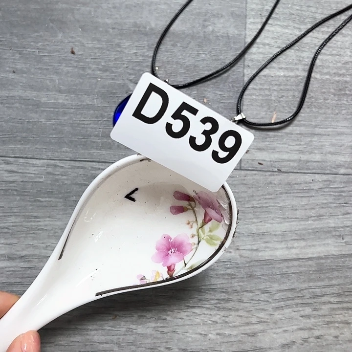 紫砂………………～～～～～～#发10个