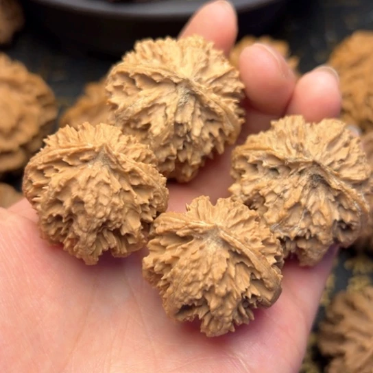风***静文玩核桃把件秦岭核桃8