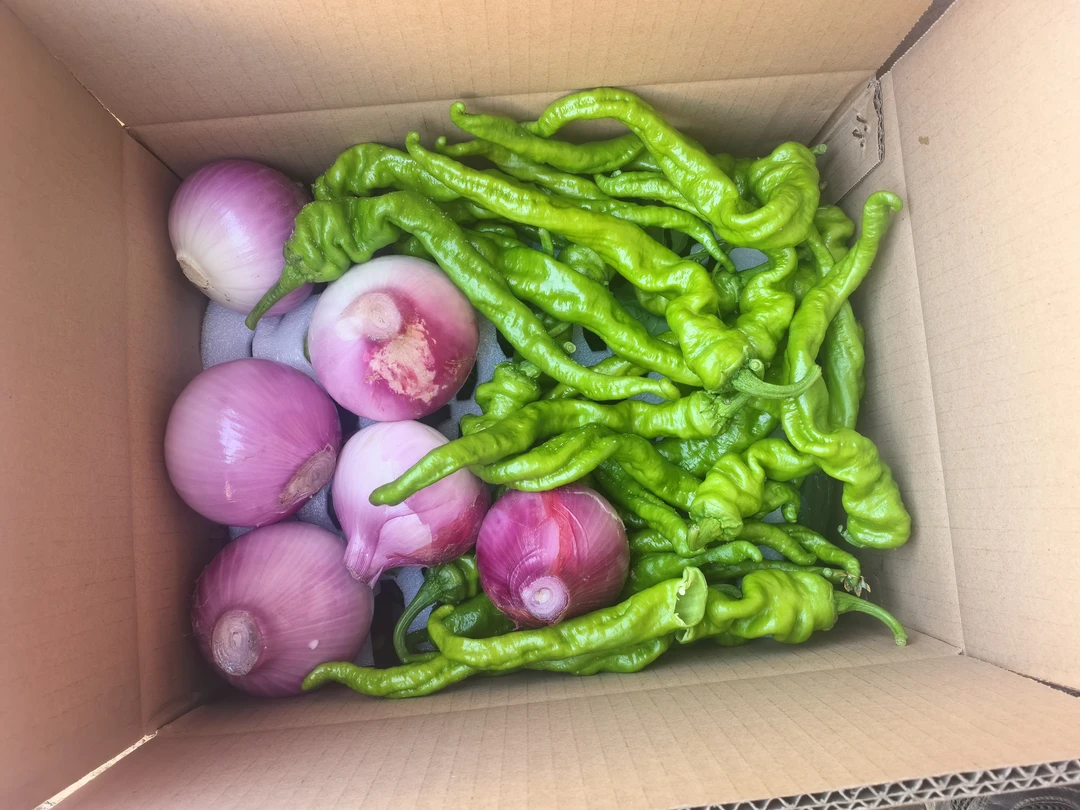 北京海淀产地直发蔬菜组合试吃装