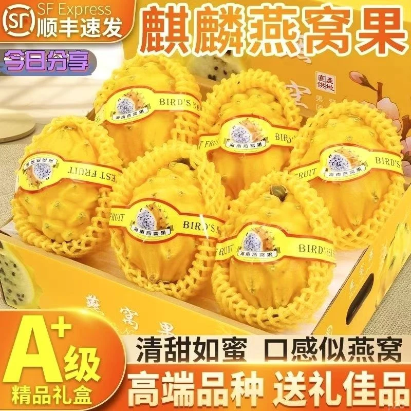 海南三亚燕窝果南方特级火龙果应季水果顺丰包邮海南燕窝果礼盒