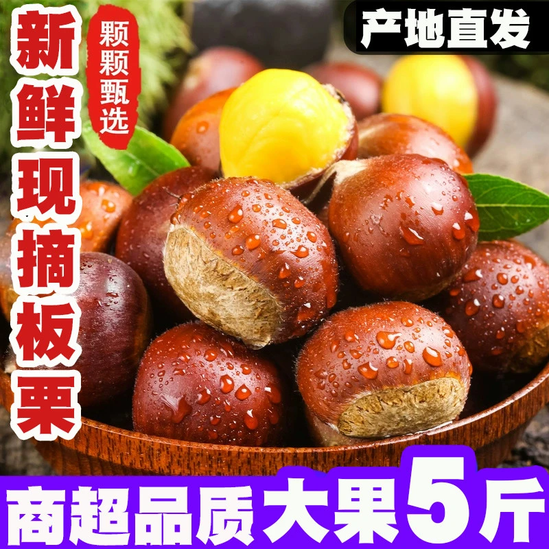2025新货丹东板栗当季新鲜生板栗粉糯香甜野生不难剥皮菜板栗批发