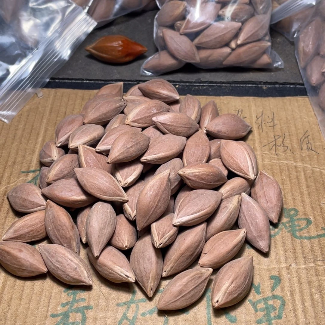 初***心橄榄核吊坠不退不换wrtyuo
