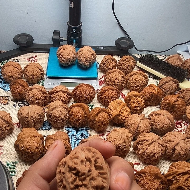 频***界把件文玩核桃粗筋