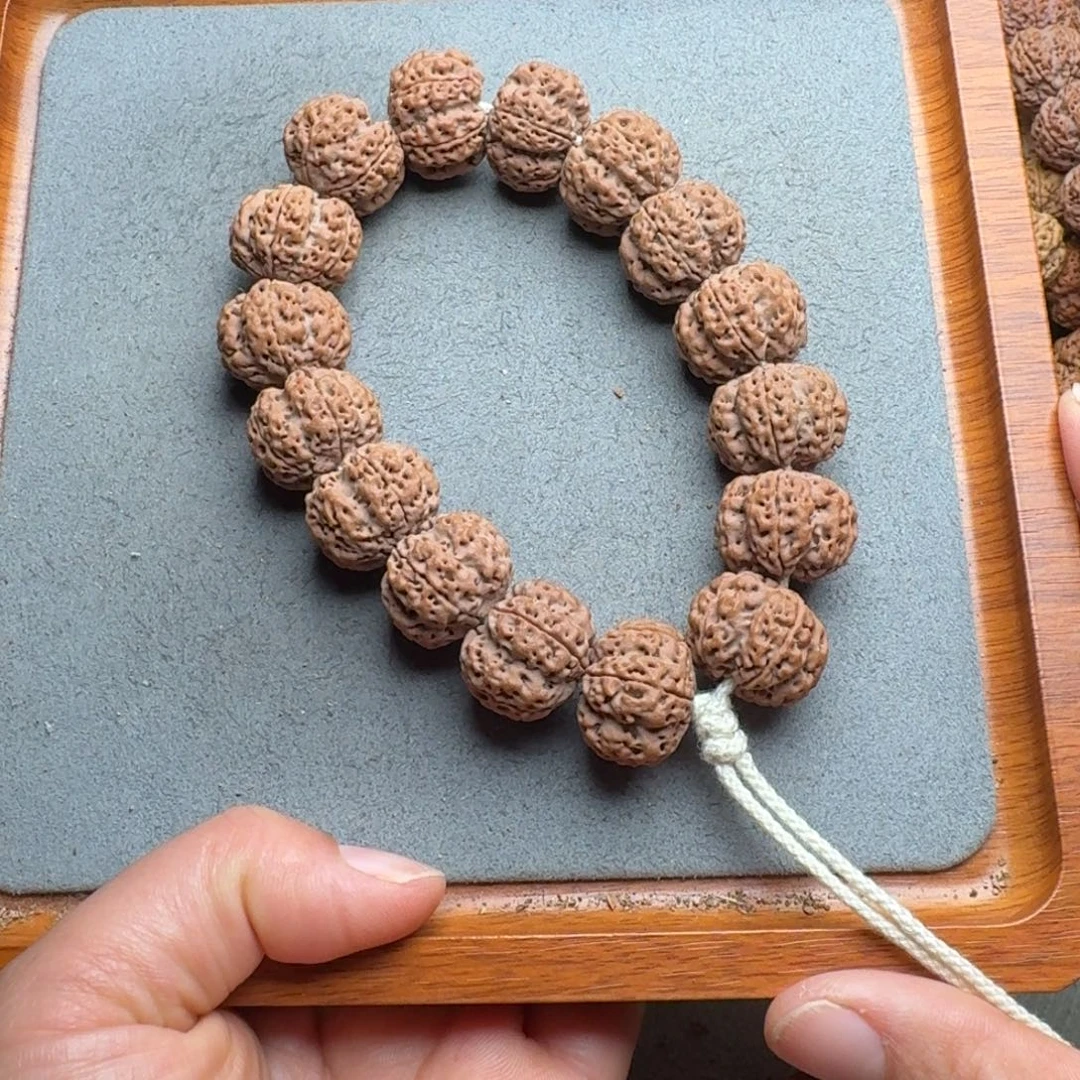 菩提菩提11号尼泊尔大金刚21龙牙梅花