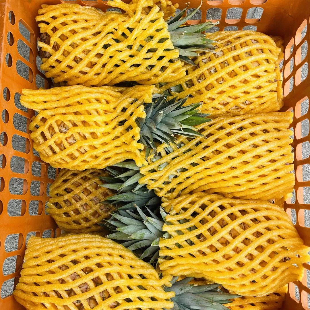 小树凤梨13元2个1500g