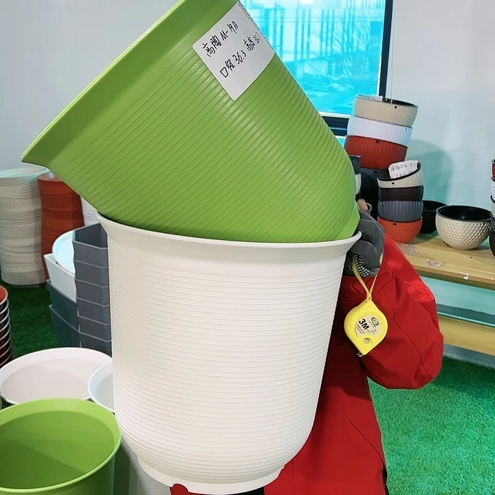 正品高陶口36高36果绿无托2只