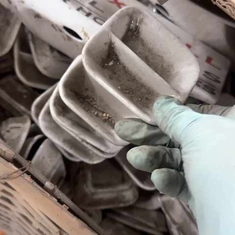 瓷片6个国营厂8厘米