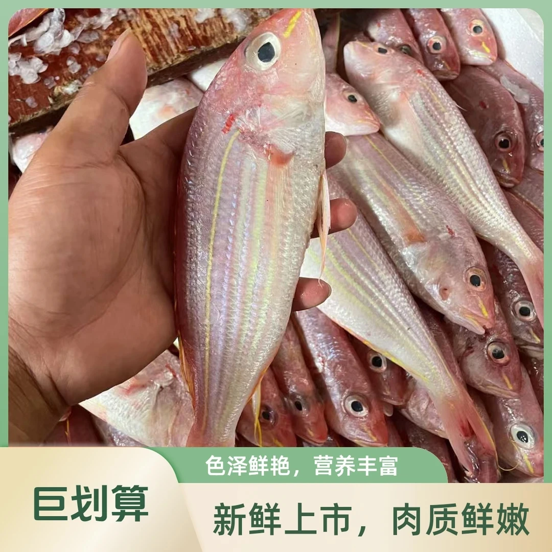 广东海鲜新鲜金丝鱼【1斤3-4条，到手4斤】