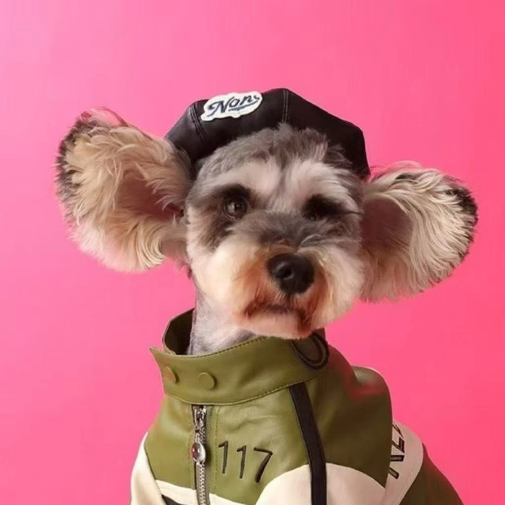 宠物猫咪狗狗韩版配饰南瓜贝雷帽中小型犬服饰狗狗头饰拍照道具