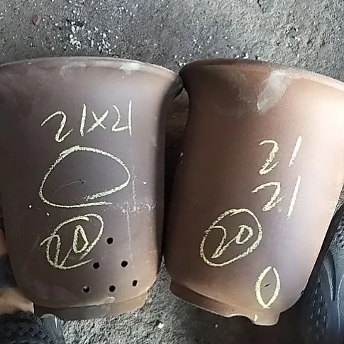 大金钟两个紫砂花盆22
