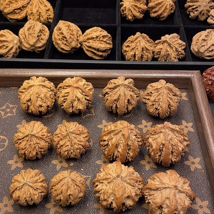 文玩核桃吊坠秦岭以南至甘肃的