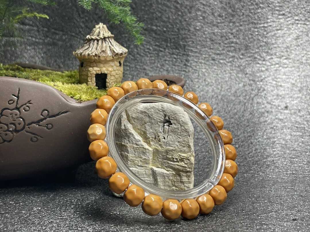 【猴头奶酪】  尺寸9+