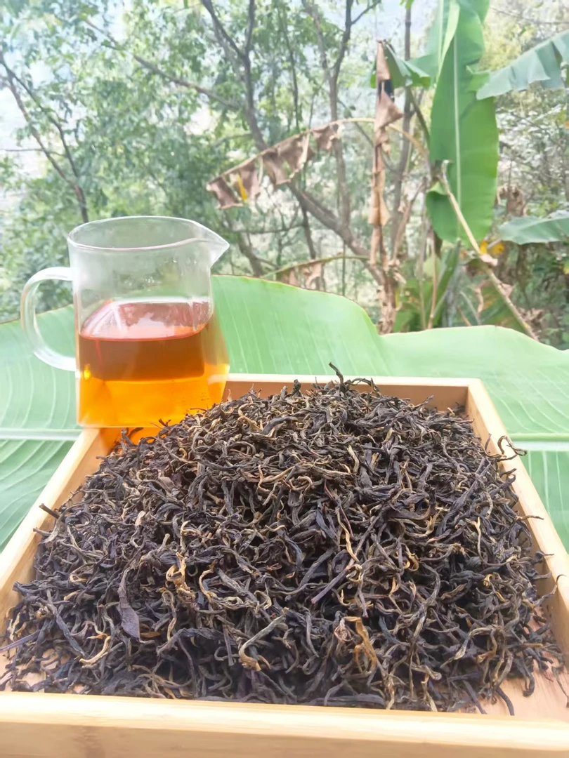 高山头春头采滇红口粮茶
