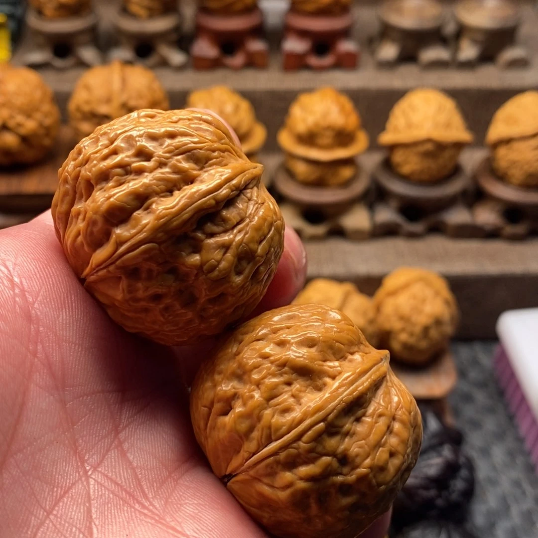 文玩核桃把件小*壳铁核桃