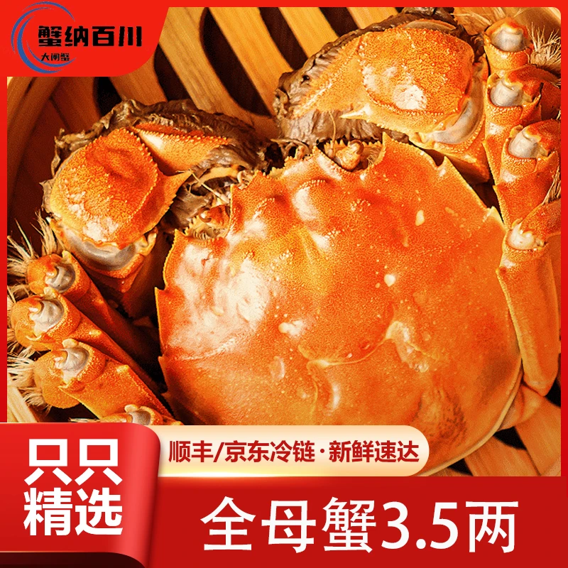 【活蟹】蟹纳百川大闸蟹 母蟹3.5两3对6只装 顺丰冷链空运包邮Z8