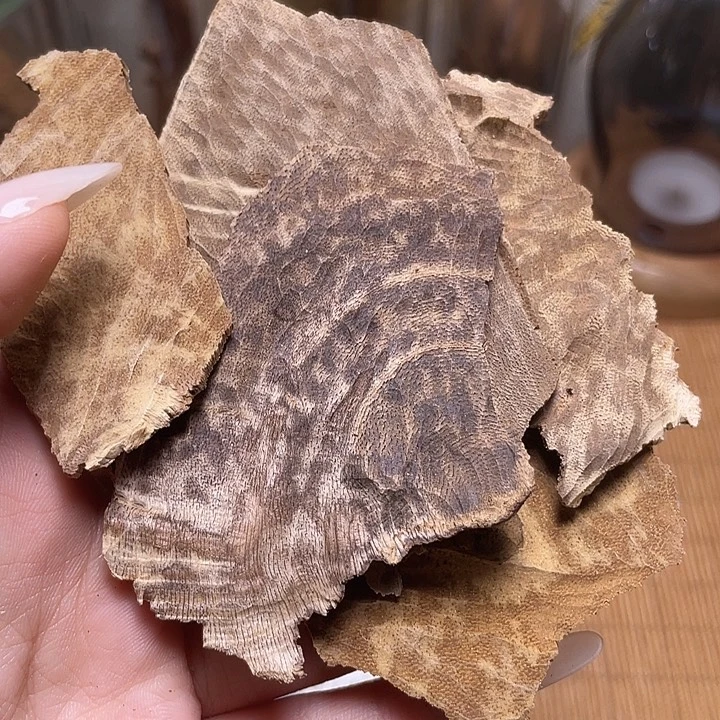 香榧木海南大山老顶15克福利