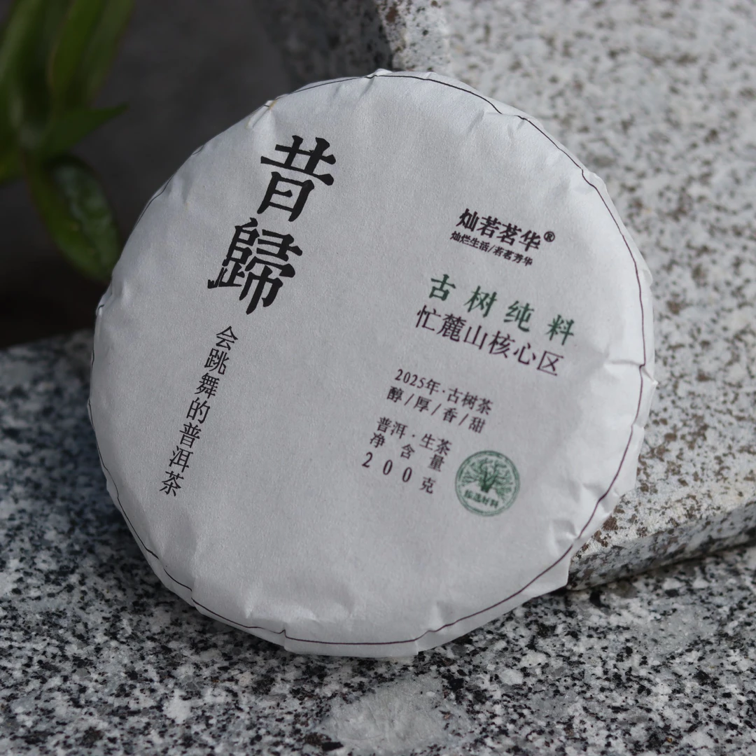 灿若茗华2025年昔归中大树生普200克