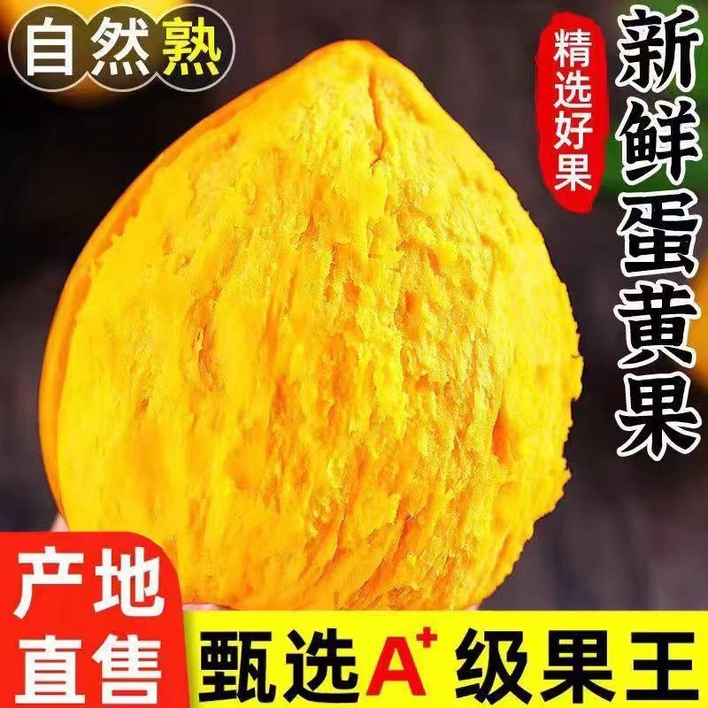 【东北保温专属】正宗云南新鲜鸡蛋果当季贝贝南瓜售卖中大果