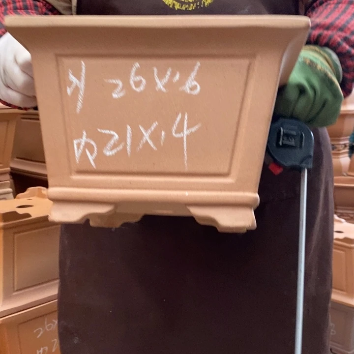 花盆紫砂只顾看电视