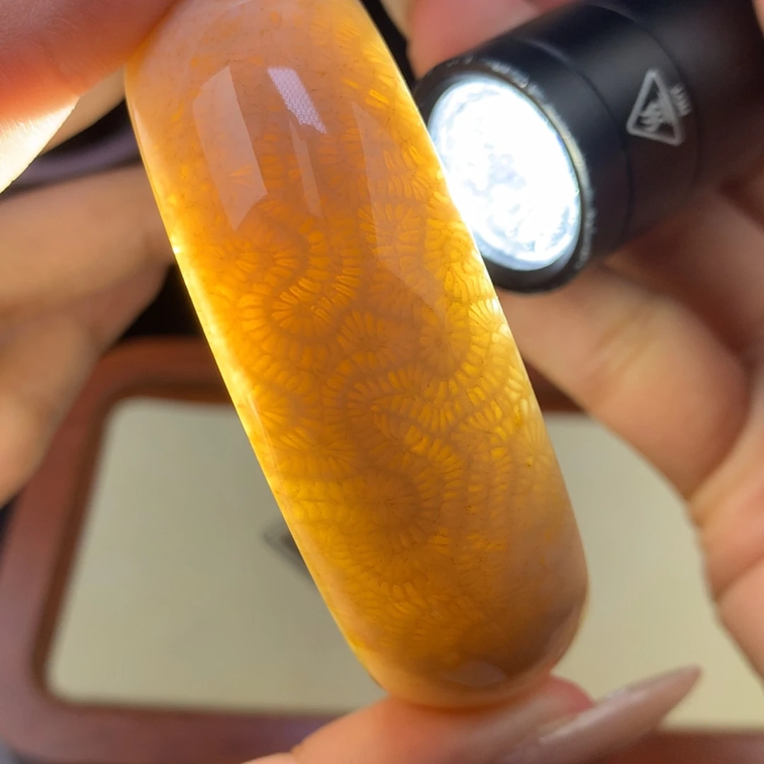 【闪购商品】颈饰未镶嵌硅化珊瑚（珊瑚玉）18号  超清晰脑纹 59.6