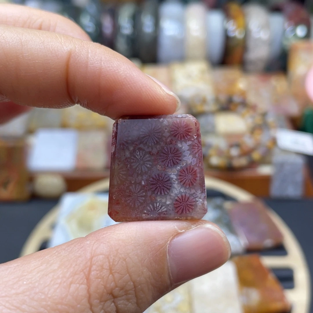 硅化玉未镶嵌颈饰k19