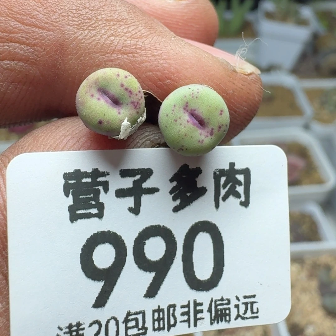 1380b两颗。