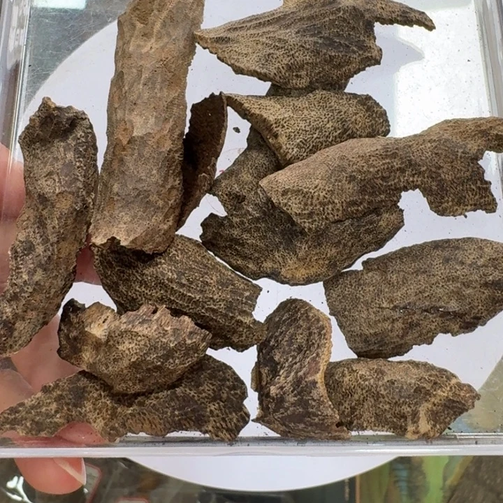 楠木海南鸡虫漏香香料