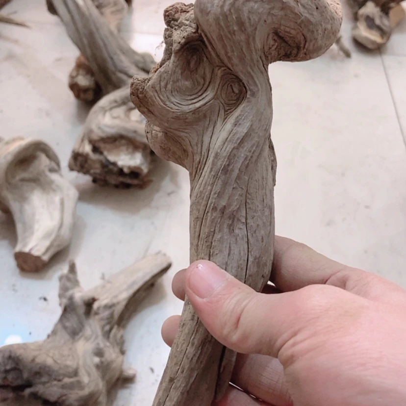 【闪购商品】柏木卷*大太行天下第一