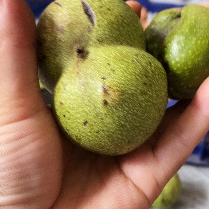 吊坠文玩核桃子*文玩核桃