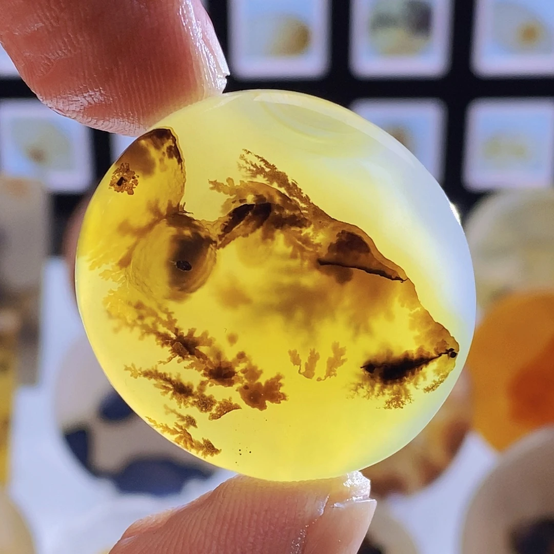 玛瑙/玉髓未镶嵌吊坠(不含链)817