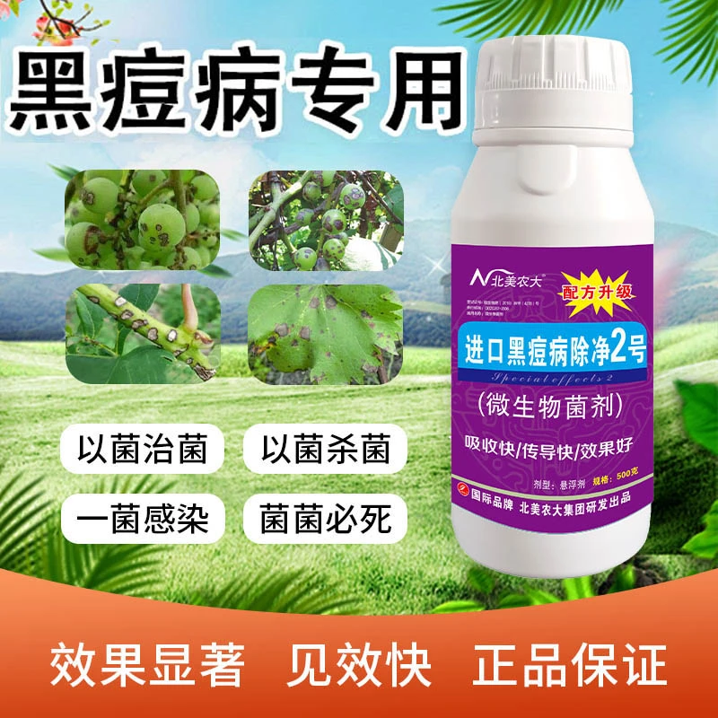 黑痘病专用杀菌剂茄子葡萄提子阳光玫瑰微生物叶面肥黄腐酸水溶肥