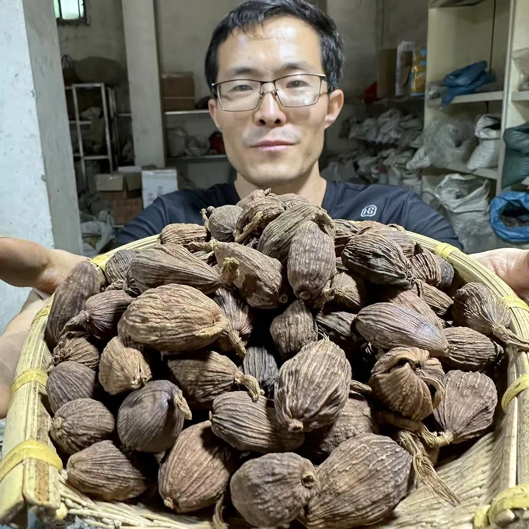 草果 云南草果香料 草果颗粒 种植无硫草果