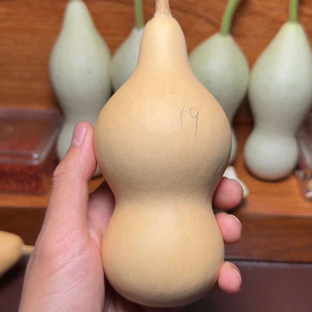 19号本长葫芦定向链接