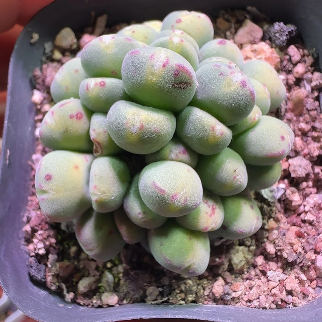 大降价福利来啦553